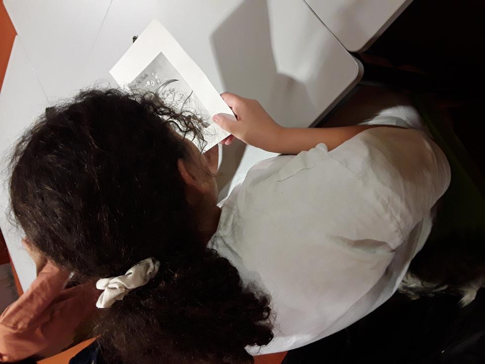 Activités médiathèque 2024